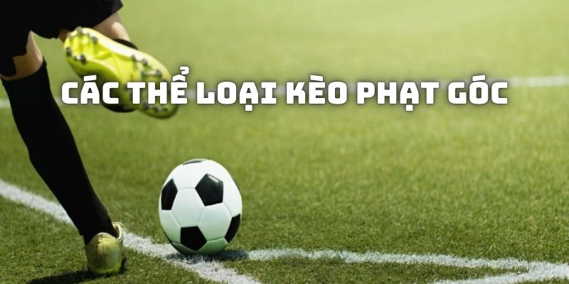 Kèo Phạt Góc Là Gì? Kỹ Thuật Đặt Cược Siêu Hay Từ Cao Thủ Những cách đánh phạt góc được người chơi áp dụng phổ biến